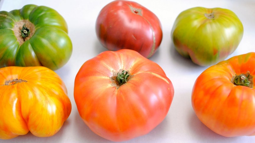 heirloom-tomatoes